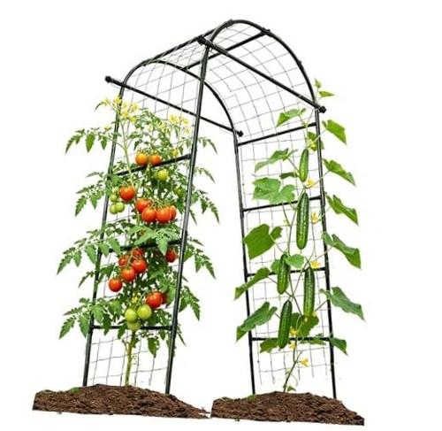 Garden arch trellis - arch,