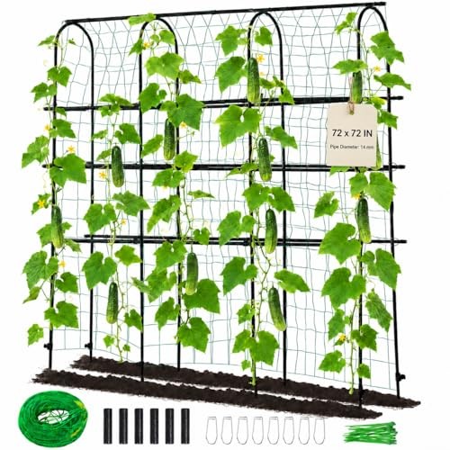 Black otosunny garden - -,