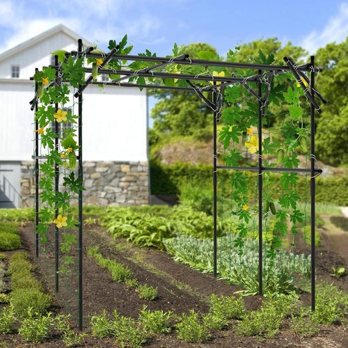 Garden arch trellis - garden,