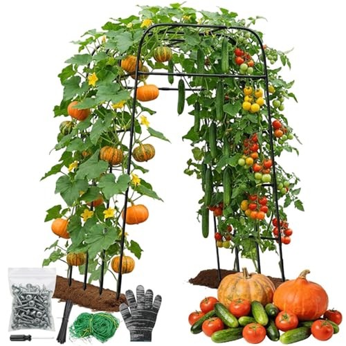 Garden arch trellis for - garden,