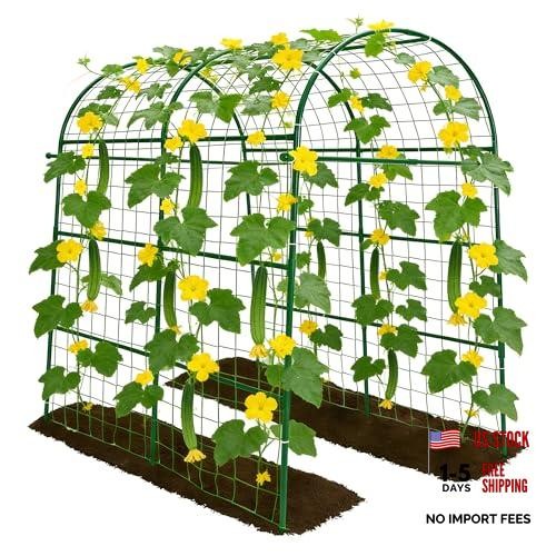 Green garden arch trellis - garden,