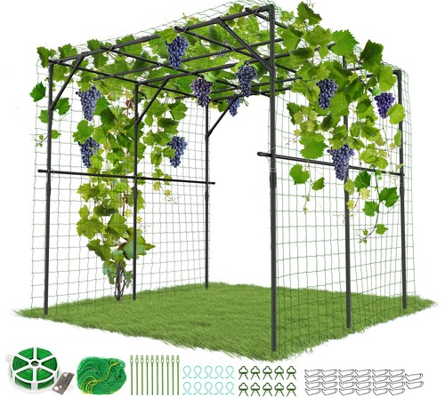 Tall garden arch - garden, trellis