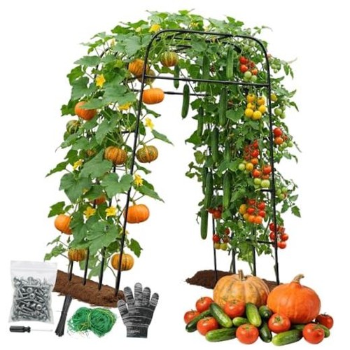 Garden arch trellis - garden, for