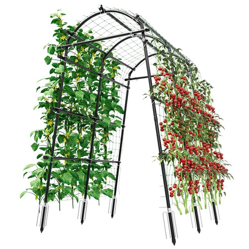 Garden arch trellis - garden, in