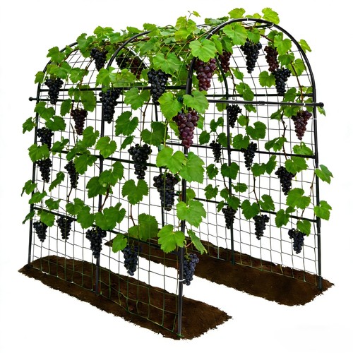Garden arch trellis for - garden,