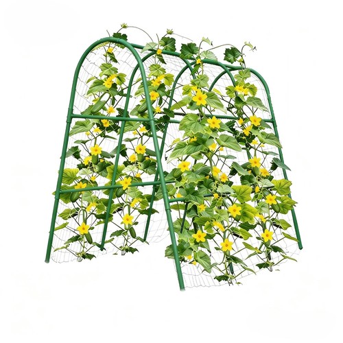 Shape climbing plant - pe,