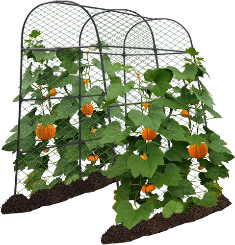 Garden arch trellis ft - trellis,