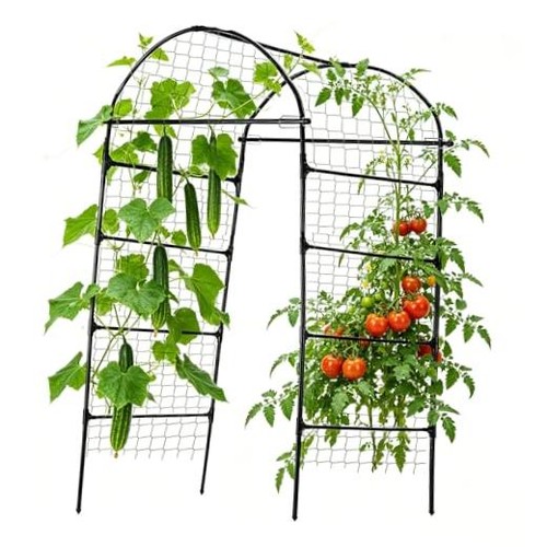 Inch tall garden arch - 80,