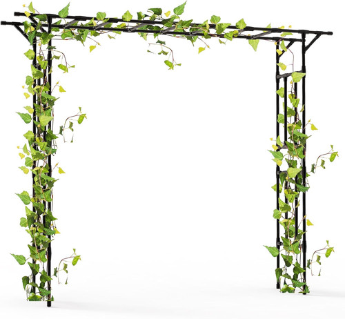 Garden arch trellis 100 l - -,