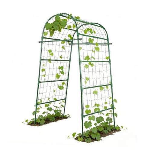 Garden arch trellis for - arch,